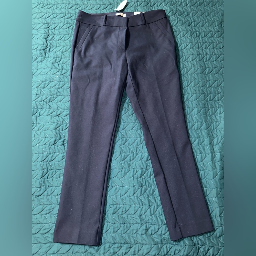 Loft Petite Modern Skinny